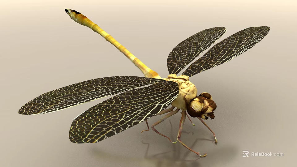 Yellow Dragonfly With Black Net Like Patterned Wings And Detailed Body Structure 3d model 