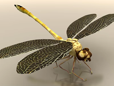 Yellow Dragonfly With Black Net Like Patterned Wings And Detailed Body Structure 3d model
