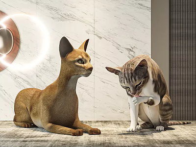 Two Brown And Gray White Cats Sitting On Floor By Marble Wall With Circular Light 3d model