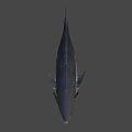 Fresh Deep Sea Tuna Fish Swimming In Blue Water For Seafood Dishes
