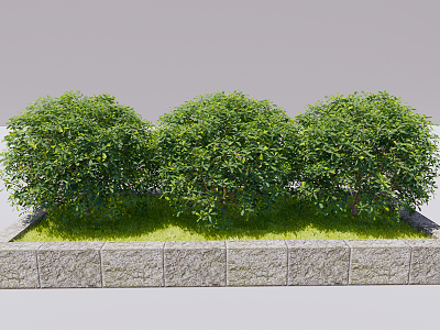 Modern Shrub Plant Hyonglonia bulbosa model