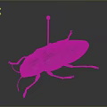 Close Up View Of Detailed Pinned Beetle Insect Specimen With Exoskeleton