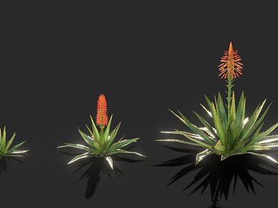 Aloe Plants With Red Flowers In Various Sizes On Black Background With Reflections 3d model