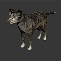 Grey Striped Cat Standing On Dark Background With Realistic Fur Details