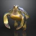 Detailed Sea Turtle With Green Shell Yellow Underbelly And Flippers On Dark Background