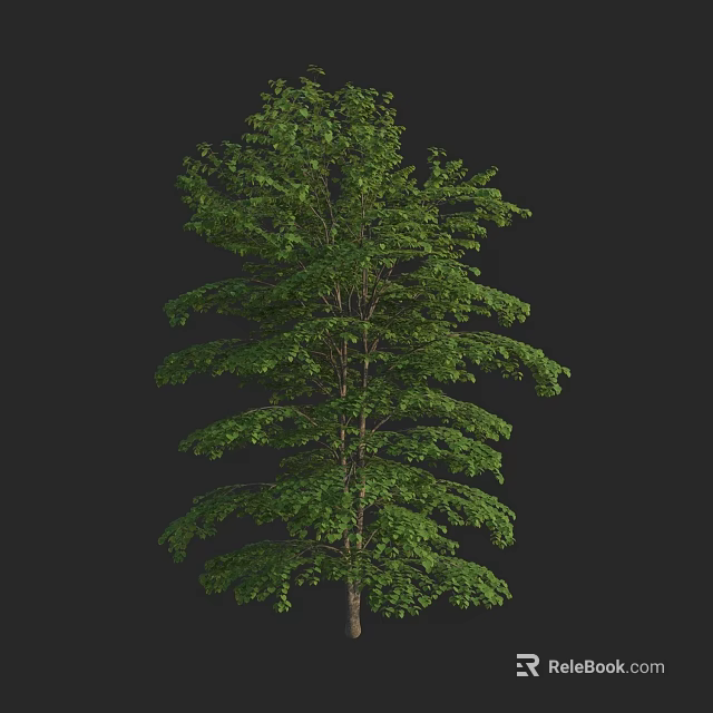 Lush Green Arbor With Dense Foliage And Towering Trunk Structure 3d model