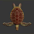 Vibrant Sea Turtle With Red Yellow Patterned Shell And Detailed Flippers On Dark Background 3d model