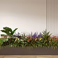 Colorful Flowers And Green Plants In Rectangular Planter With Light Striped Wall And Wooden Floor