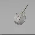 Horseshoe Crab With Pale White Hard Carapace And Long Tail Spine Structure