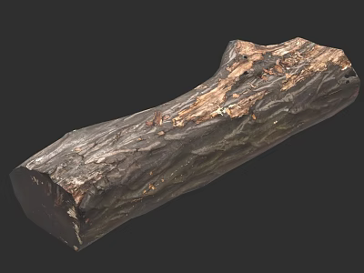 Natural Tree Trunk With Weathered Dark Brown Surface And Rough Texture 3d model