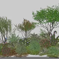 Various Green Shrubs in Outdoor Garden Landscape with Colorful Flowers and Mixed Plants