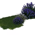 Lush Green Grass And Purple Flowering Bushes In Serene Outdoor Natural Landscape