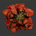 Fresh Red Chili Peppers Hanging Bunch With Vibrant Color And Texture