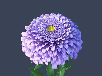 Blooming Purple Dahlia Flower with Yellow Center and Lush Green Leaves 3d model