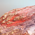 Garden Landscape with Red Brown Texture and Undulating Terrain Ravines Design