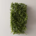 Lush Green Vine Wall Covering Gray Background Surface With Dense Foliage 3d model