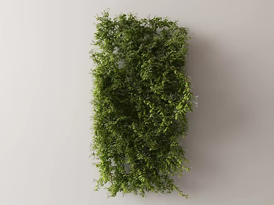 Modern Vine 3d model