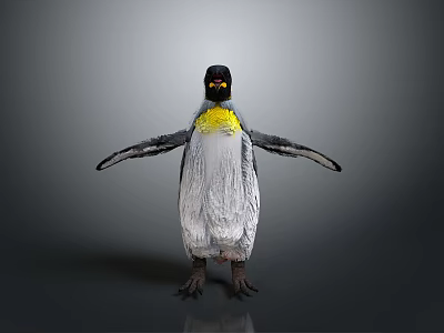 Standing Penguin With Yellow Neck And Black And White Body Outstretched Wings Gray Background 3d model