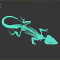 Detailed Anatomical Structure of Lizard Skeleton with Reptile Bone Features and Scientific Model