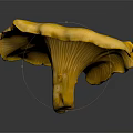 Bright Yellow Fresh Vegetable Mushroom with Smooth Surface and Dark Background Reflection