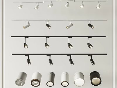 Modern Downlight And Spotlight Lighting Fixtures With Track Mounted Styles And Various Colors 3d model