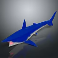 Realistic Shiny Blue Shark Model Displaying Open Mouth and Sharp Teeth 3d model