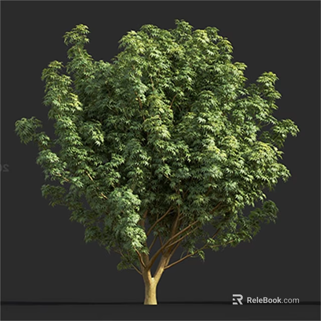 Lush Green Arbor With Dense Foliage And Strong Branch Structure In Natural Environment 3d model 