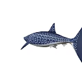 Whale Shark Aquatic Animal With Blue Body White Spots And Streamlined Appearance