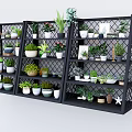 Bonsai and Potted Plants Display on Black Multi tiered Metal Shelves with Various Green Planters