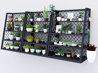 Bonsai and Potted Plants Display on Black Multi tiered Metal Shelves with Various Green Planters 3d model