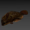 Delicious Fresh Brown Green Spotted Fish With Textured Body And Fins