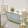 Bright Wooden Desk and Chair Set for Home Office with Two Monitors and Green Plants