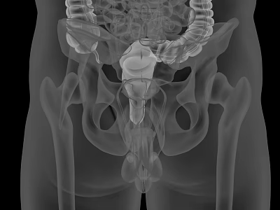 Advanced Medical Imaging Equipment for 3D Human Body Internal Organ Visualization 3d model