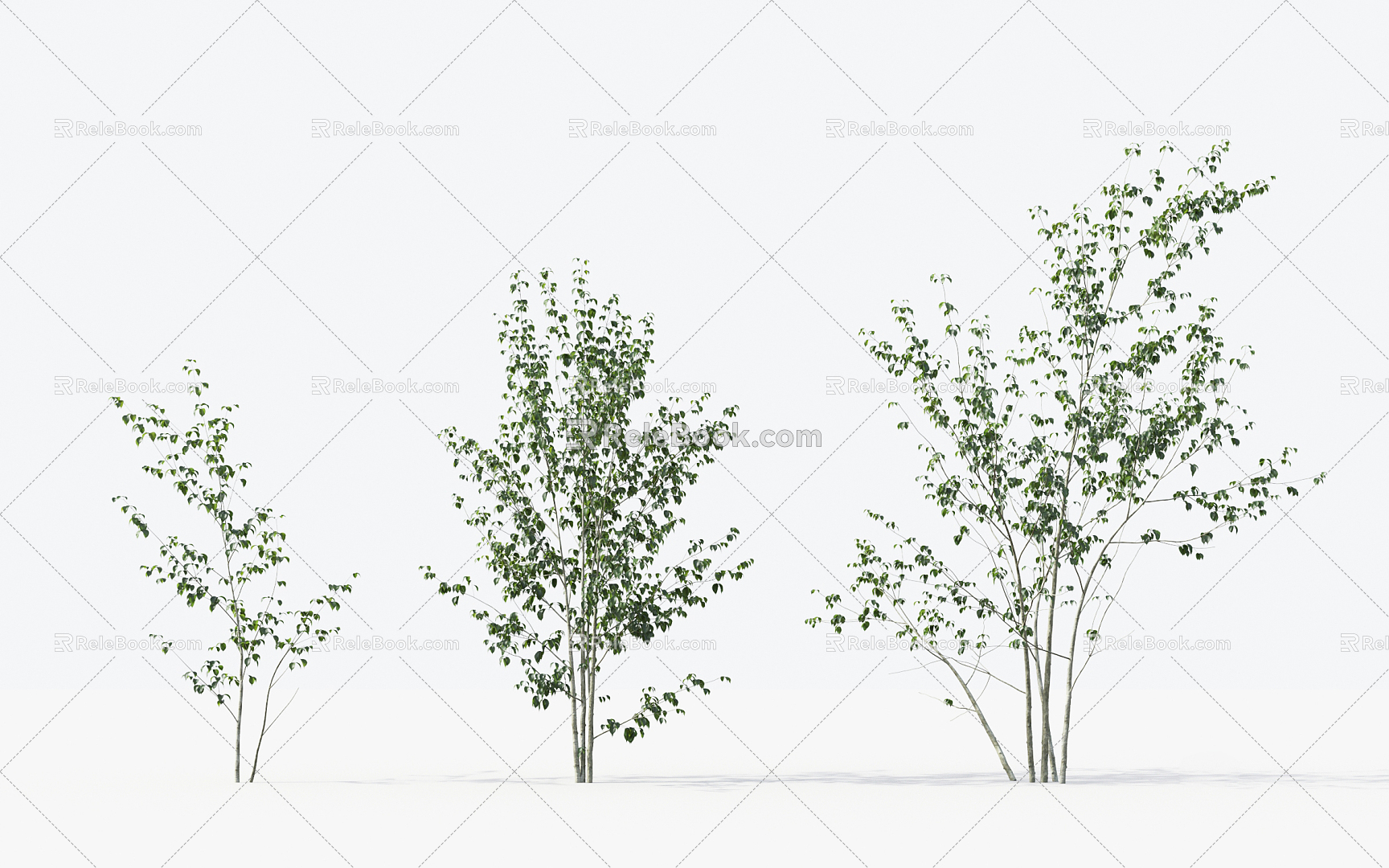 Modern Trees Small Trees 3d model