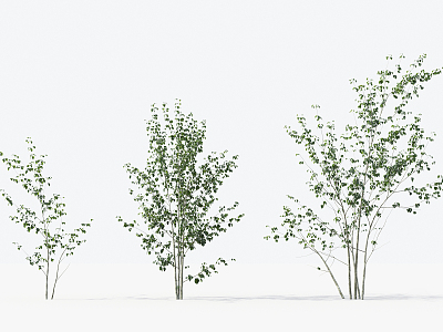 Modern Trees Small Trees model