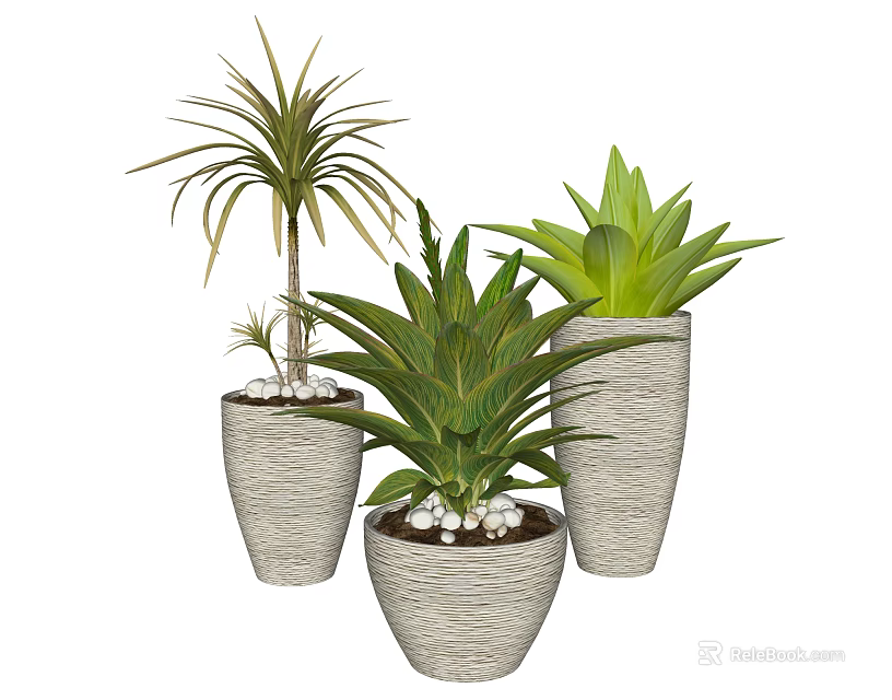 Different Types of Green Potted Plants in Textured Gray Pots with Pebble Base 3d model 