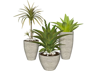 Different Types of Green Potted Plants in Textured Gray Pots with Pebble Base 3d model