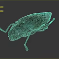 Iridescent Metallic Beetle With Shiny Exoskeleton And Colorful Legs On Gray Background