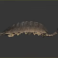 Pill Bug With Segmented Brown Exoskeleton Long Antennae And Multiple Legs On Dark Background