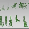 Vine Plants Featuring Various Growth Forms And Green Leaves As Decorative Design Elements 3d model