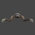 Realistic 3D Sloth Character Model For Game And Movie Animations