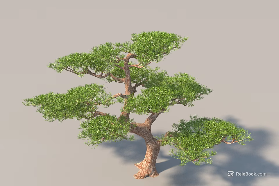 Arbor Design With Green Foliage Brown Trunk And Unique Branches 3d model 