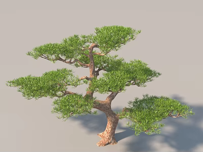 Arbor Design With Green Foliage Brown Trunk And Unique Branches 3d model