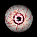 Human Eyes Displaying Detailed Vascular Texture With Green Outline Against Black Background