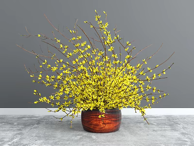 Blooming Yellow Flowers With Slender Branches In Brown Wooden Vase On Gray Tabletop 3d model