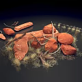 Natural Landscape with Red Stones Dry Grass and Slender Branches on Dark Background
