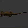 Detailed Realistic Brown And Yellow Lizard With Long Tail On Smooth Surface 3d model