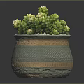 Succulent Plant with Green Leaves and White Flowers in Decorative Ceramic Pot with White Pebbles