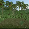 Tropical Garden Landscape With Tall Palm Trees Lush Shrubs Green Grass And Blue Sky