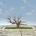 Dry Tree in Square Grass Patch on Stone Pavement with Blue Sky and White Clouds 3d model